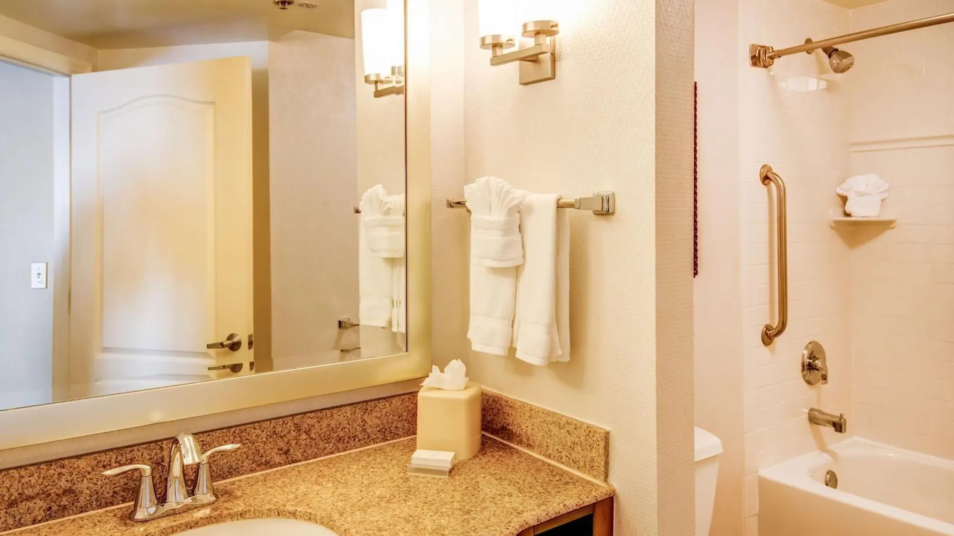Hotel Hilton Garden Inn Tampa Ybor Historic District