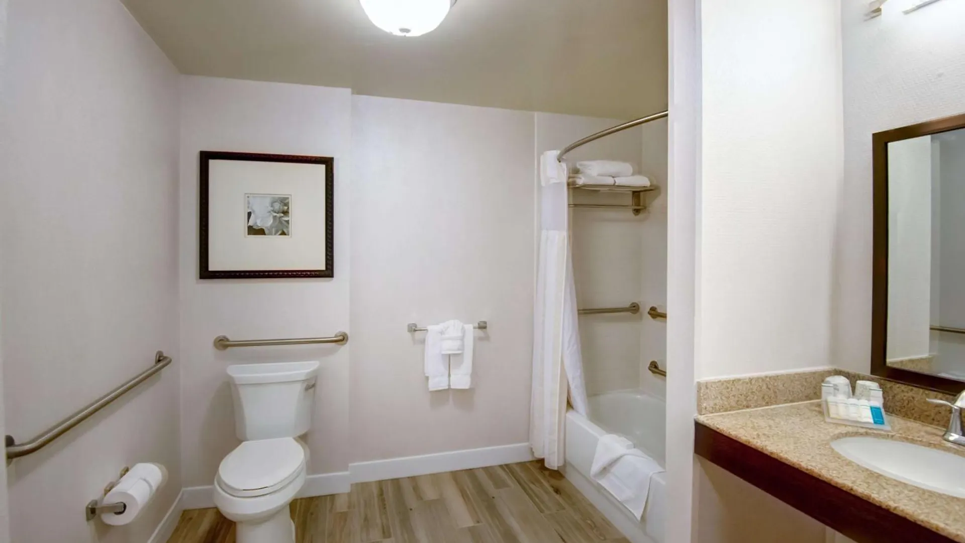Hilton Garden Inn Tampa Ybor Historic District